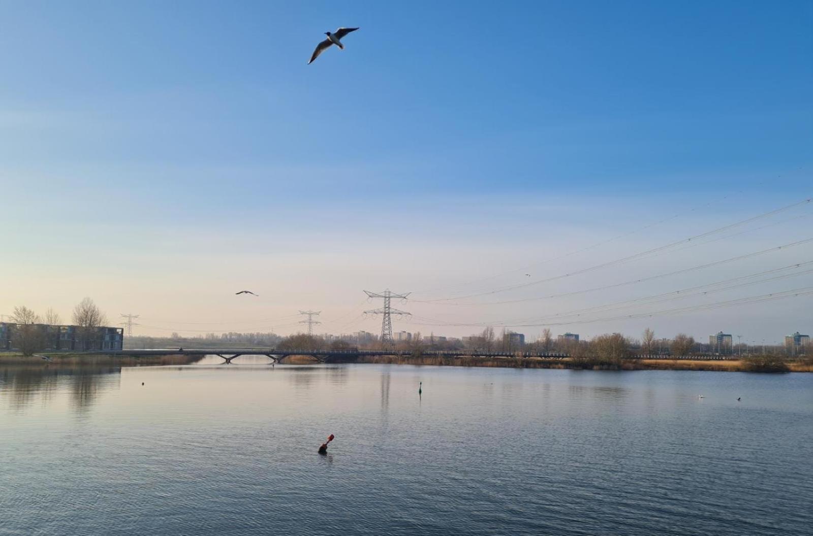 Charmante Kapiteinshut Op Historisch Schip De Hoop *